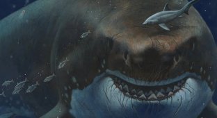 Megalodon: the story of the discovery of a sea monster (6 photos)