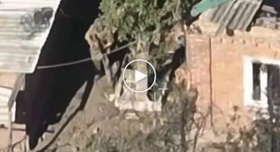 An occupier receives a bullet from a sniper while peeking around the corner of a house