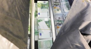 Россиянин пытался провезти 270 000 долларов через польско-белорусскую границу (8 фото)