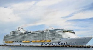 A US Cruise Ship Returns to Port Due to a Fight Between Passengers at a Children's Pool (3 photos)