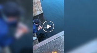 Женщина выловила «инопланетного слизня» во время рыбалки