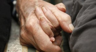 В Голландии прожившие 65 лет вместе супруги умерли в один день, держась за руки (2 фото)
