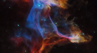 A Cosmic Masterpiece: Detailed Images of the Veil Nebula (9 photos)