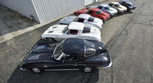 A colorful collection of 1963 Corvettes will be put up for auction (21 photos)