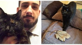 Зворушлива історія кішки, яка щоранку приносить господареві лист з незвичайної причини (14 фото)