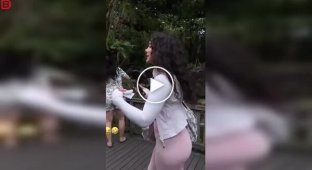 Обезьяний лес на Бали оказался не таким милым, как в соцсетях