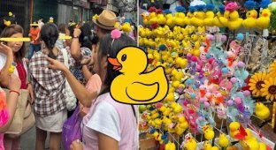 Why in Asia everyone wears ducks on their heads (7 photos)