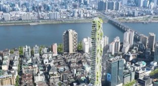 In Seoul they want to build a tower with landscaping (4 photos)