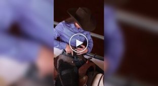 Скорость, точность и мастерство: конный спорт в действии