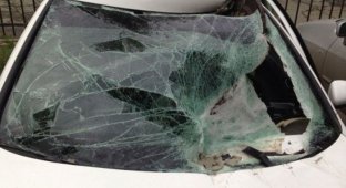 Крышка люка пробила лобовое стекло (6 фото)