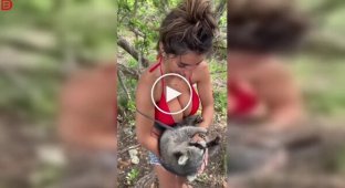 Енот полностью очарован девушкой