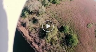 Mini-bombing from the air on Russian positions