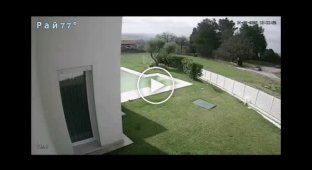 Spectacular accident: two sports cars were deprived of the concrete fence of a homeowner in Italy