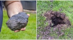 Житель Германии нашёл на заднем дворе метеорит и разбогател (3 фото)