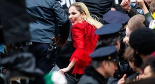 The first photos of Lady Gaga as Harley Quinn from the filming of the new "Joker" (4 photos)