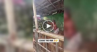 A Loader Who Loves His Job