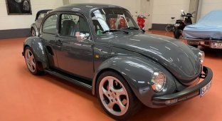 Volkswagen Beetle crossed with Porsche Boxster and put up for sale (16 photos)