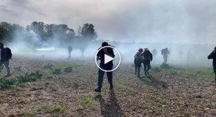 Во Франции эко-активисты устроили жесткую массовую драку с полицией, защищая природу