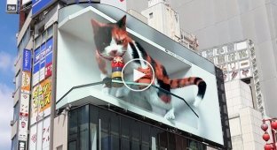 A giant 3D cat at a Tokyo station