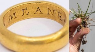 The Englishman will sell an old ring, whose age exceeds 460 years (photo)