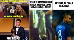 Победа сборной Португалии на Евро-2016: смешные комментарии из соцсетей (22 фото)