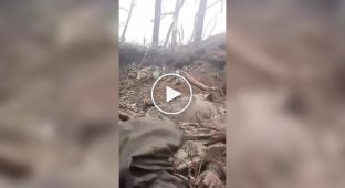 Video from a Russian occupier who showed an unsuccessful attempt to evacuate the body of his friend