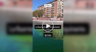 Environmental activists turned the waters of the Grand Canal in Venice acid green