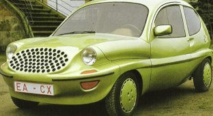 16 cars that have repeatedly received the title of the most ridiculous and ugly (17 photos)