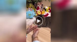 The girl wanted to show a trick to the cat, but everything didn’t go according to plan