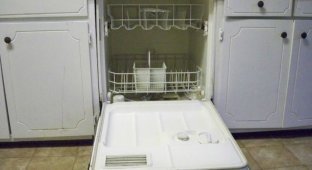 Как приготовить рыбу в посудомоечной машине (8 фото)
