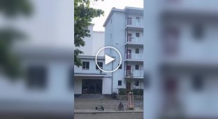 Странные видео (короткие видео). Выпуск 39