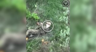 The occupier puts a grenade under his bulletproof vest and blows himself up near Avdiivka