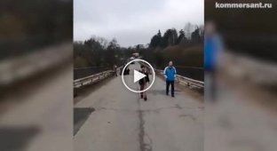 У Підмосков'ї обрушився автомобільний міст