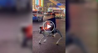 In China, robot dogs have been turned into a means of transportation for children