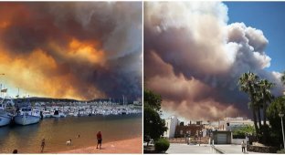 Новый  пик жары до +43°C превратит юг Европы в пороховую  бочку: спасатели бьют тревогу из-за лесных пожаров (3 фото + 5 видео)