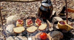 A picnic in nature is always a good idea (5 photos)