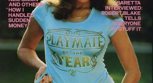История Плейбоя в обложках с плеймейтами года (с 1977 по 2006)