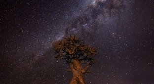 Подборка красивых фото Млечного пути (14 фото)