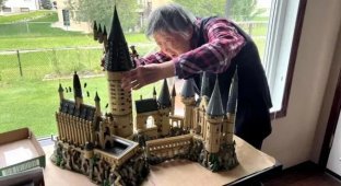 Китайская бабушка восстановила подвижность руки благодаря наборам LEGO (7 фото)