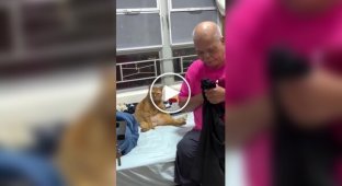 Кот стал похож на своего хозяина