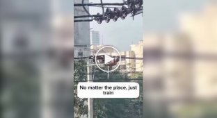 Weirdo used power lines as an outdoor exercise machine