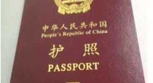 Оставил свой паспорт на виду у 4-летнего ребенка (3 фото)