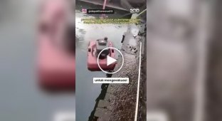 Firefighters drained a pond to get a smartphone