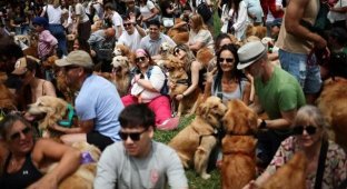 The Cutest World Record in Buenos Aires (8 photos)