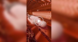 In the US, they practice farewell fireworks made from ashes