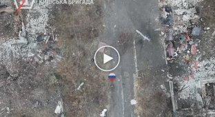 Ликвидированный российский пехотинец валяется на земле полуголый на Покровском направлении