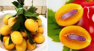 A selection of exotic fruits that few have heard of (15 photos)