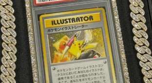 The Most Expensive Pokemon Card Sold for $16 Million (3 photos)