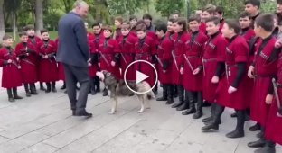 Главная солистка. Собака подпела фольклорному хору