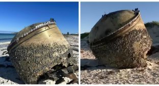 На австралийский пляж выбросило неопознанный объект (3 фото)